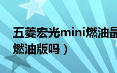 五菱宏光mini燃油最新款（五菱宏光mini有燃油版吗）