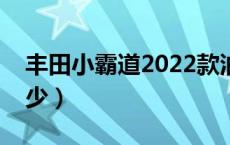 丰田小霸道2022款油耗（丰田霸道油耗是多少）