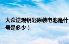 大众途观钥匙原装电池是什么型号（大众途观车钥匙电池型号是多少）