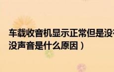 车载收音机显示正常但是没有声音（车载收音机显示正常但没声音是什么原因）