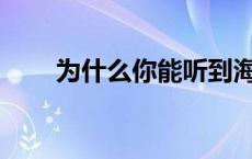 为什么你能听到海螺发出的海浪声？