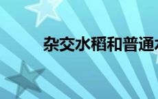 杂交水稻和普通水稻有什么区别？