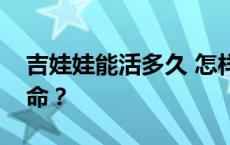 吉娃娃能活多久 怎样做才能延长吉娃娃的寿命？