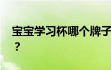 宝宝学习杯哪个牌子好 如何选择宝宝学习杯？