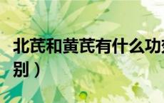 北芪和黄芪有什么功效（北芪和黄芪有什么区别）