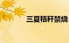 三夏秸秆禁烧（三夏是什么）