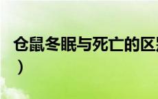 仓鼠冬眠与死亡的区别（仓鼠冬眠与死的区别）