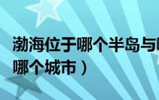 渤海位于哪个半岛与哪个半岛之间（渤海位于哪个城市）