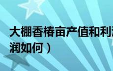 大棚香椿亩产值和利润（大棚香椿亩产值和利润如何）