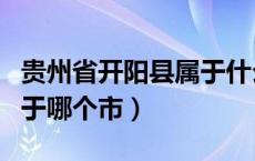 贵州省开阳县属于什么流域（贵州省开阳县属于哪个市）