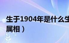 生于1904年是什么生肖（生于1904年是什么属相）