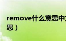 remove什么意思中文翻译（remove什么意思）