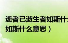 逝者已逝生者如斯什么意思呢（逝者已逝生者如斯什么意思）