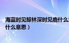 海蓝时见鲸林深时见鹿什么意思啊（海蓝时见鲸林深时见鹿什么意思）