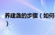 养建盏的步骤（如何养建盏 养建盏的6个技巧）