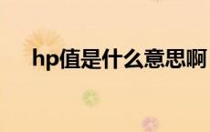 hp值是什么意思啊（hp值是什么意思）