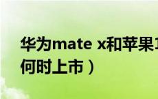 华为mate x和苹果12哪个好（华为mate x何时上市）