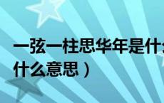 一弦一柱思华年是什么诗（一弦一柱思华年是什么意思）