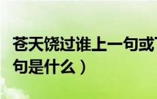 苍天饶过谁上一句或下一句（苍天饶过谁上一句是什么）