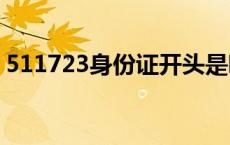 511723身份证开头是哪里的（5117什么梗）