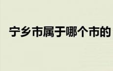 宁乡市属于哪个市的（宁乡市属于哪个市）