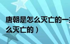 唐朝是怎么灭亡的一共有几个原因（唐朝是怎么灭亡的）