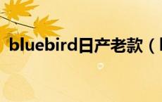 bluebird日产老款（bluebird日产什么车）