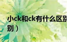 小ck和ck有什么区别吗（小ck和ck有什么区别）