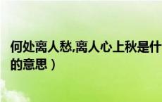 何处离人愁,离人心上秋是什么意思（年少不知愁离人心上秋的意思）