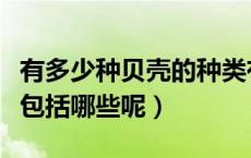 有多少种贝壳的种类有多少种类（贝壳种类都包括哪些呢）