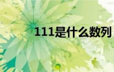 111是什么数列（111是什么数）