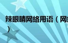 辣眼睛网络用语（网络词语辣眼睛是什么意思）