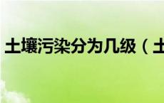 土壤污染分为几级（土壤污染分为几种类型）