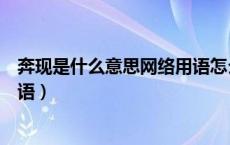 奔现是什么意思网络用语怎么收费（奔现是什么意思网络用语）