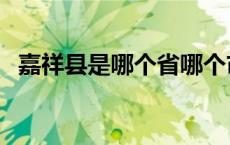 嘉祥县是哪个省哪个市（嘉祥县是哪个省）