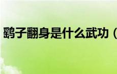 鹞子翻身是什么武功（鹞子翻身是什么意思）