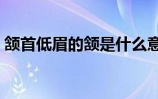 颔首低眉的颔是什么意思（颔首低眉的意思）