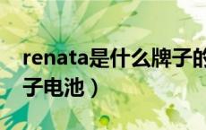 renata是什么牌子的电池（renata是什么牌子电池）