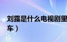 刘露是什么电视剧里的人（鲁L是什么地方的车）