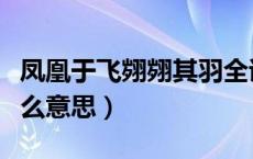 凤凰于飞翙翙其羽全诗（凤凰于飞翙翙其羽什么意思）