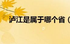 泸江是属于哪个省（泸江是属于哪个省）