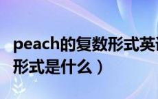 peach的复数形式英语怎么写（peach的复数形式是什么）