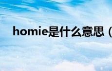 homie是什么意思（homie是什么意思）