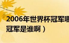 2006年世界杯冠军哪个国家（2006年世界杯冠军是谁啊）