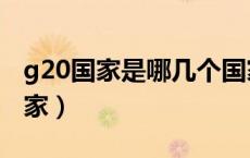 g20国家是哪几个国家（g20国家包含哪些国家）