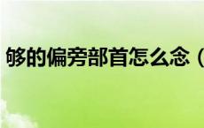 够的偏旁部首怎么念（够的偏旁部首是什么）