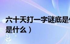 六十天打一字谜底是什么（六十天打一字谜底是什么）