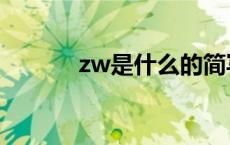 zw是什么的简写（zw是什么）