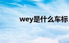 wey是什么车标（wey是什么车）