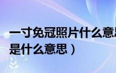 一寸免冠照片什么意思啊（免冠一寸照片免冠是什么意思）